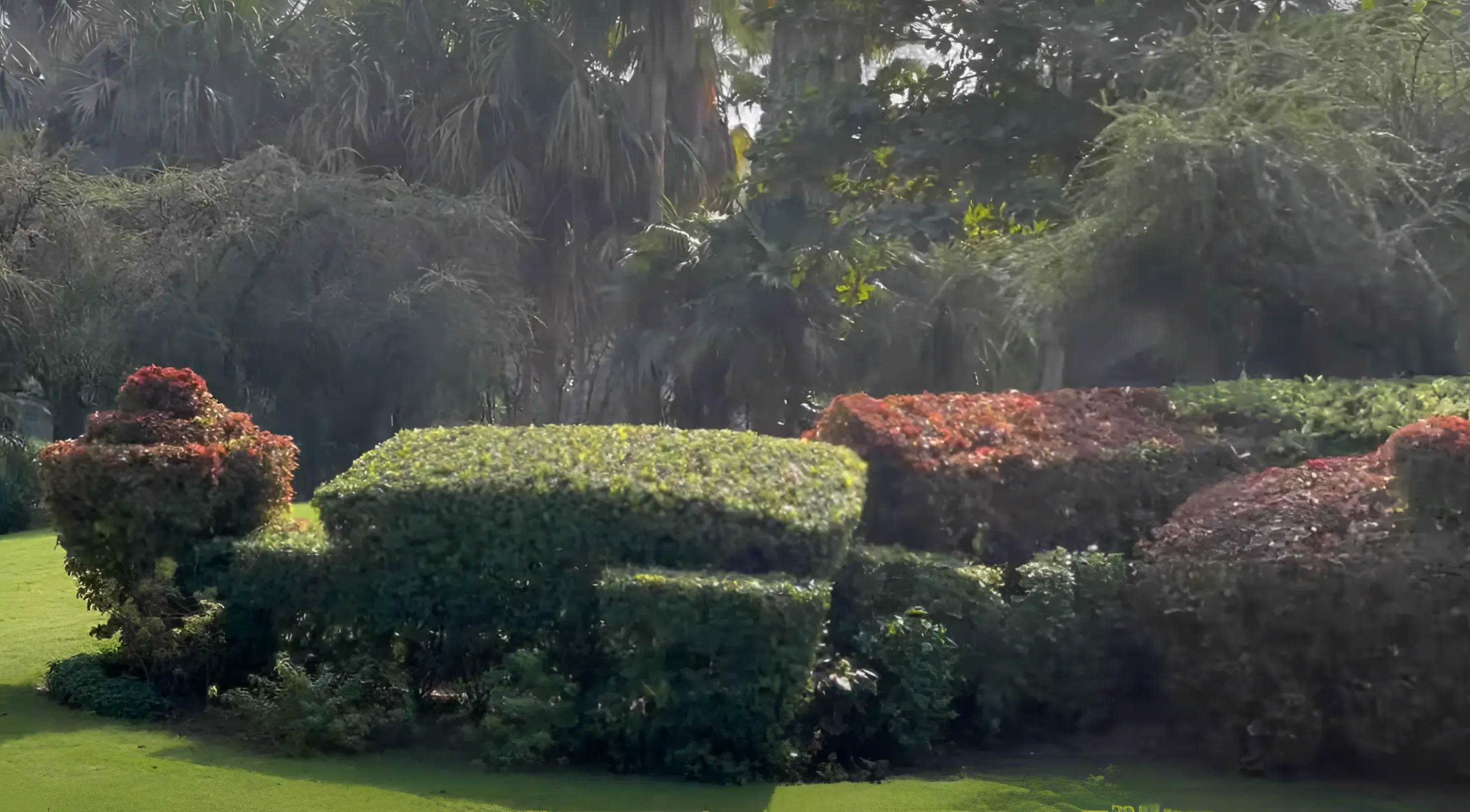 Institute of Management, Nirma University Ahmedabad Campus photo 2